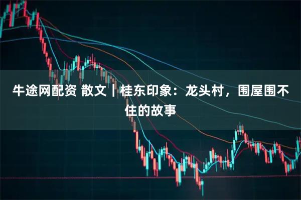 牛途网配资 散文｜桂东印象：龙头村，围屋围不住的故事