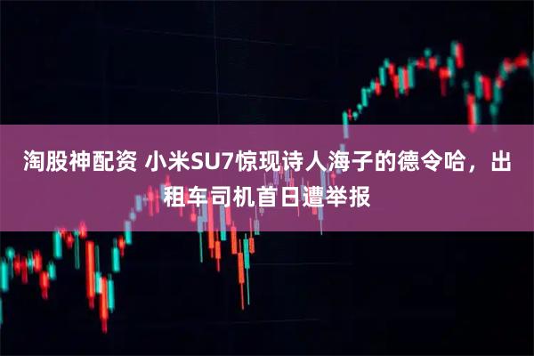 淘股神配资 小米SU7惊现诗人海子的德令哈，出租车司机首日遭举报