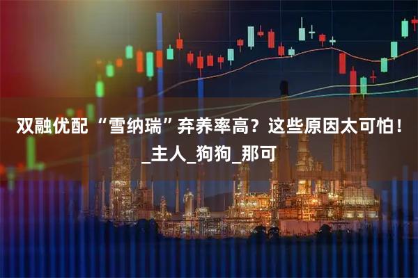 双融优配 “雪纳瑞”弃养率高?这些原因太可怕!_主人_狗狗_那可