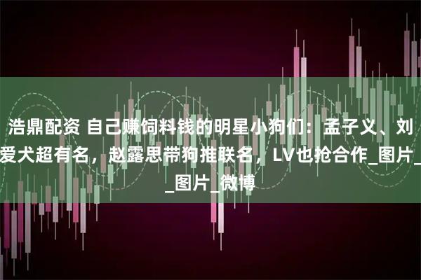 浩鼎配资 自己赚饲料钱的明星小狗们：孟子义、刘宇宁爱犬超有名，赵露思带狗推联名，LV也抢合作_图片_微博