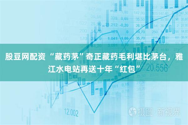 股豆网配资 “藏药茅”奇正藏药毛利堪比茅台,雅江水电站再送十年“红包”