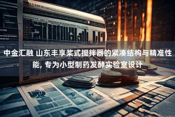 中金汇融 山东丰享桨式搅拌器的紧凑结构与精准性能, 专为小型制药发酵实验室设计